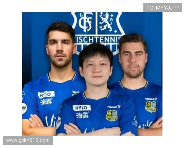 被低估或热度不高的德甲现役球队名单